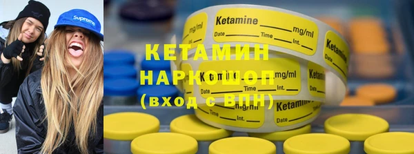 прущие грибы Новодвинск