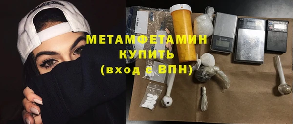 прущие грибы Новодвинск