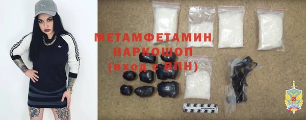 прущие грибы Новодвинск