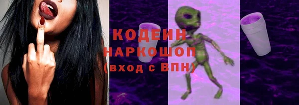 прущие грибы Новодвинск