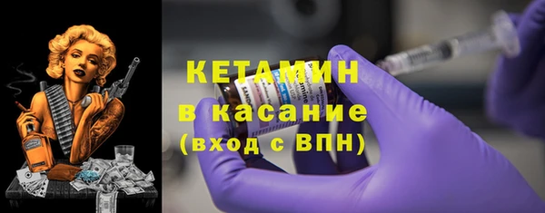 прущие грибы Новодвинск