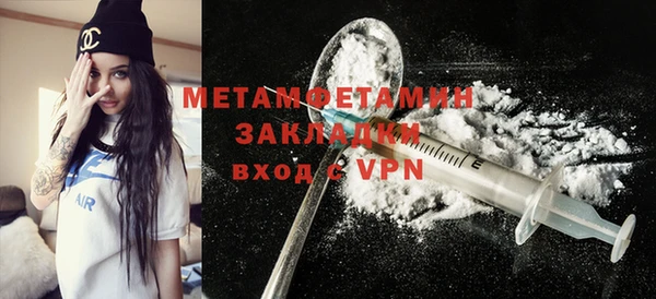 прущие грибы Новодвинск