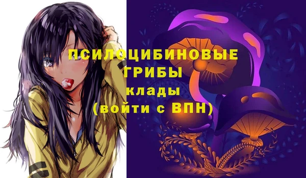 прущие грибы Новодвинск