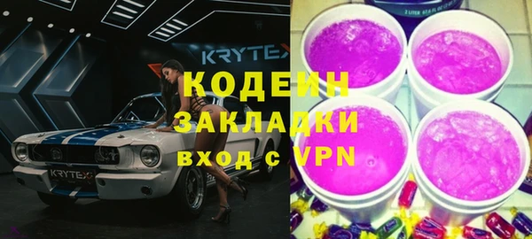 прущие грибы Новодвинск