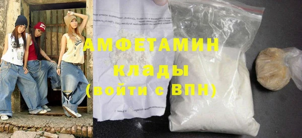 прущие грибы Новодвинск