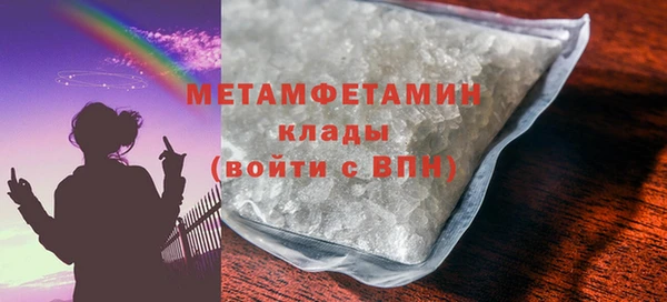 прущие грибы Новодвинск