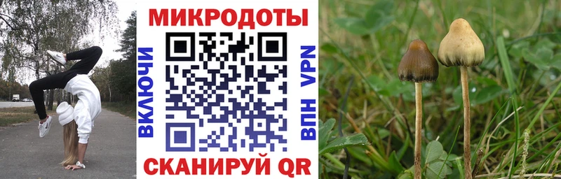 где купить наркоту  Козьмодемьянск  Галлюциногенные грибы Magic Shrooms 