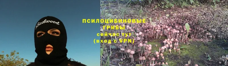 Галлюциногенные грибы MAGIC MUSHROOMS  Козьмодемьянск 